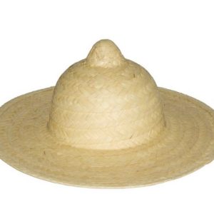 PALM HAT