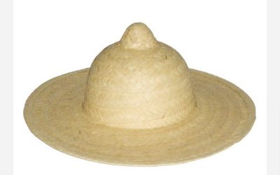 PALM HAT