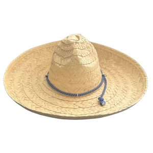MICHOACAN PALM HAT
